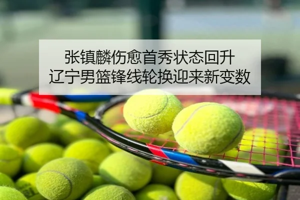 张镇麟伤愈首秀状态回升 辽宁男篮锋线轮换迎来新变数